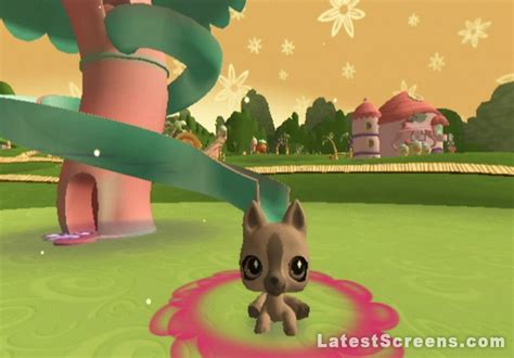 Descarga y usa 30.000+ fotos de archivo de pet shop gratis. Fotos de Littlest Pet Shop para Wii, Littlest Pet Shop Fotos,