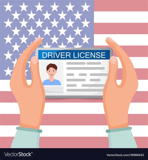 Hands Are Holding A Drivers License Photo Id Vector Image