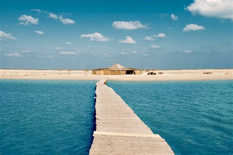 Legend Travel Story Tunisia Djerba Island All You Need To Know