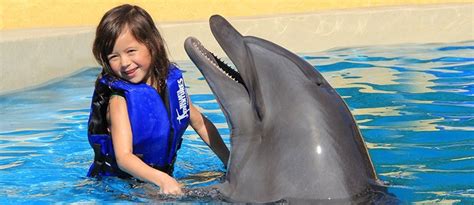 Dolphin Kids My Experience Tours