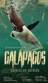 Galápagos, paraíso en pérdida es la nueva película de Gustavo Yánez ...
