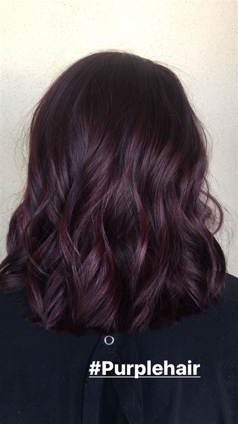 Dark Purple Hair Color Trendy Hair Color Ombre Hair Color Brunette