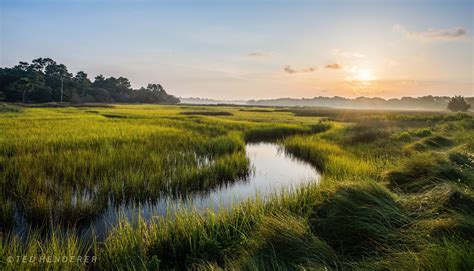 Sunrise On Capn Sams Marsh By Ted Henderer Photography Fine Art
