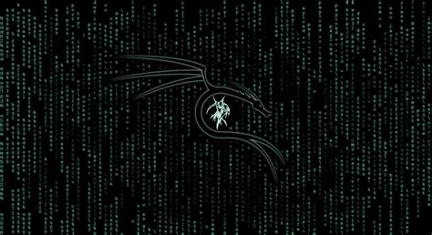Kali linux™ is a trademark of offensive security. Kali Linux Wallpaper HD - WallpaperSafari