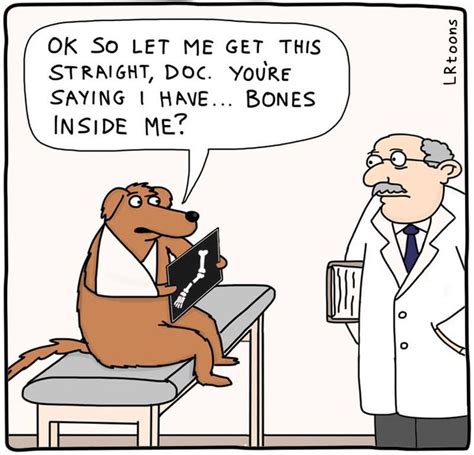 Dog Bones Uber Humor Best Funny Pictures Bone Comic