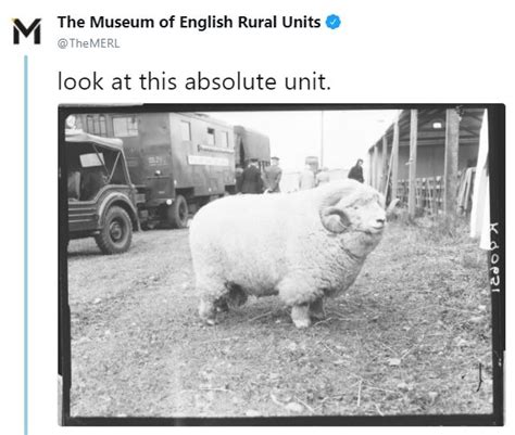 The Museum Of English Rural Units Tweet Absolute Unit Know Your Meme