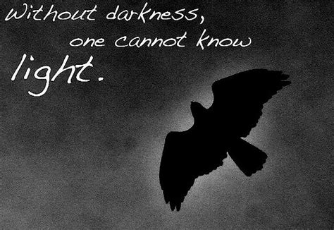 Quotes About Light Dark 356 Quotes