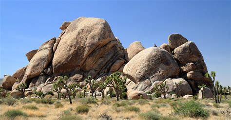Jumbo Rocks In Joshua Tree National Park Photograph By Pierre Leclerc
