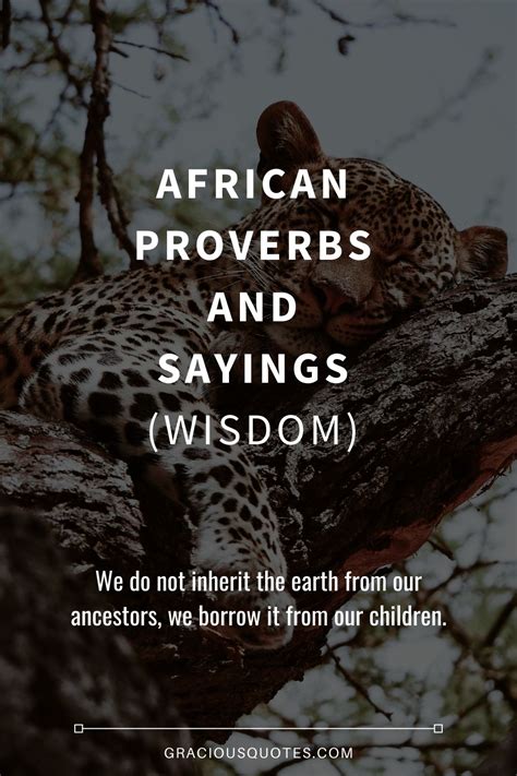 87 African Proverbs And Sayings Wisdom