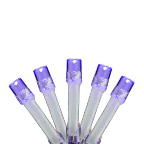 Brite Star 15 Count Battery Operated Purple Led Micro Christmas Lights