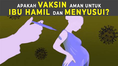 Apakah Vaksin Aman Untuk Ibu Hamil Dan Ibu Menyusui Youtube
