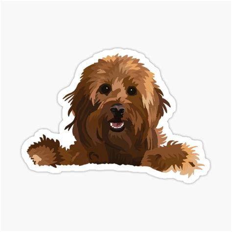 The truth is that the doodle is a developing breed, just like the hundreds of dog. Poodle Doodle Keto : For the pet lover, poodle lover or doodle lover, now you can decorate your ...