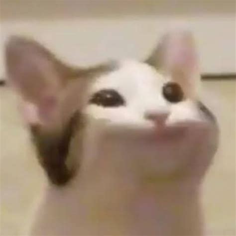 New promo codes update frequently, so check back often for new ones when they release. Https Web Roblox Com Games 606849621 Boss Jailbreak ...