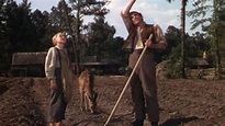Die Wildnis ruft | Film 1946 | Moviepilot.de