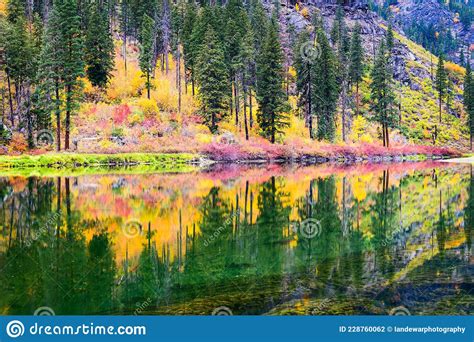 Blaze Of Fall Color Reflecting In The Wenatchee River Stock Photo