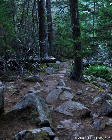 Acadia National Park Flying Mountain Trail Loop Hike Bringing You