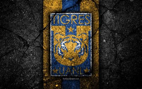 Tigres uanl logo vector (.ai) free download. Descargar fondos de pantalla 4k, UANL Tigres FC, logo ...