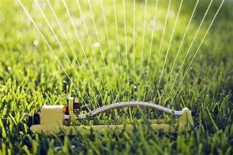 Correct lawn watering during summer depends on a variety of factors. 6 ways to prepare your lawn for fall - Mosaik Blog