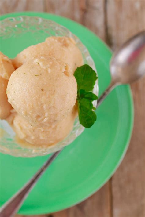 Homemade Cantaloupe And Mint No Machine Sorbet 3 Ingredients And No Ice