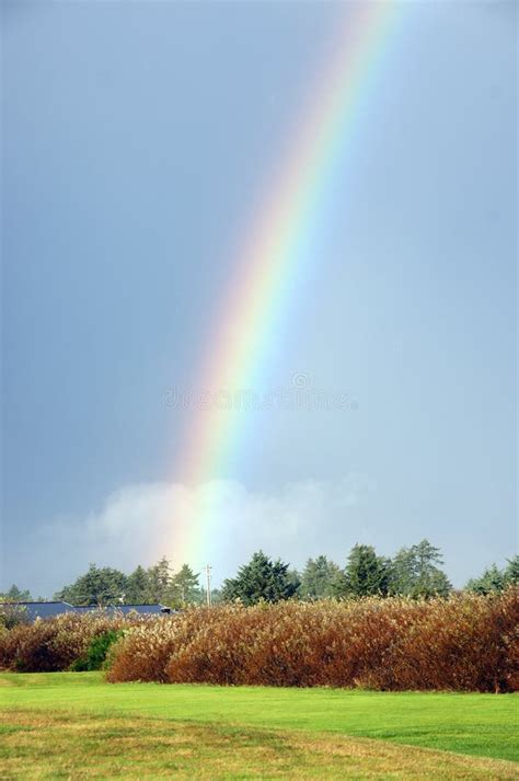 Rainbow Over A Field Stock Image Image Of Rain Ocean 27753521