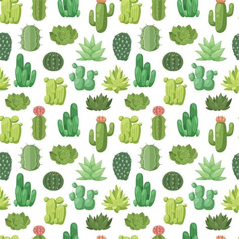 Royalty Free Cactus Clip Art Vector Images And Illustrations Istock