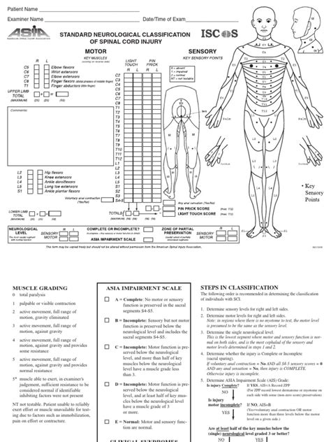 Spinal Cord Injury Assessment Chart Asia Spinal Cord Injury