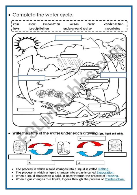 Water Cycle Worksheet 5th Grade