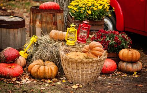 Wallpaper Autumn Harvest Pumpkin Autumn Leaves Nuts Still Life