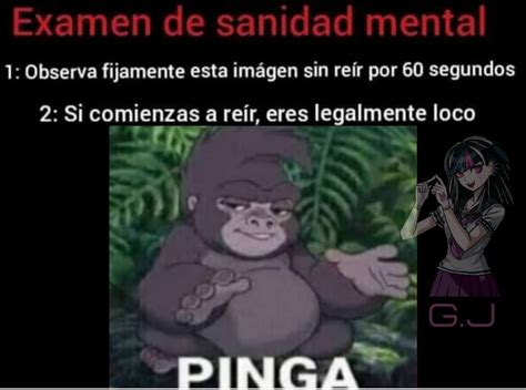 Top memes de Pinga en español Memedroid