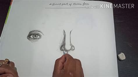 Cut and paste the parts of the face. Human face and it's parts in details - YouTube
