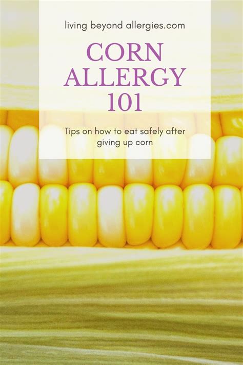 Corn Allergies 101 In 2020 Corn Allergy Corn Allergies