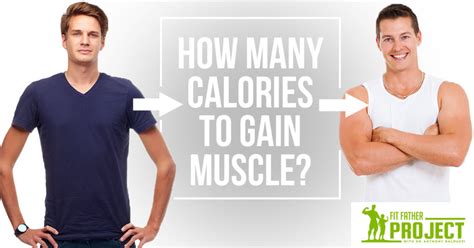 How Many Calories Should I Eat To Gain Muscle The Fit Father Project