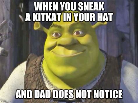 Happy Shrek Meme Imgflip