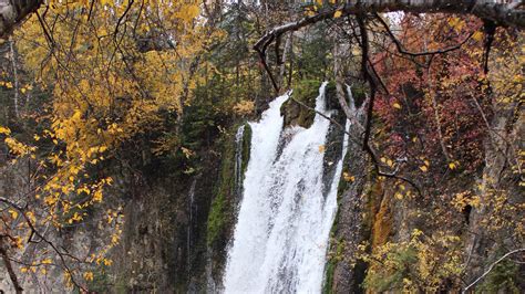 Waterfalls From Rocks Yellow Autumn Leaves Trees Forest Background Hd