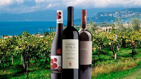 10 Most Popular Italian Red Wines Tasteatlas