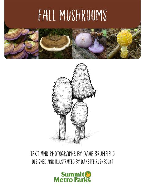 Fall Mushrooms Field Guide By Summit Metro Parks Issuu