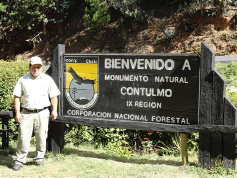 Parques De La Ix RegiÓn De La Araucania Conaf Chile 2015