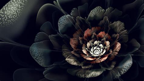Full Hd Black Background Flower Wallpaper Eradetontos