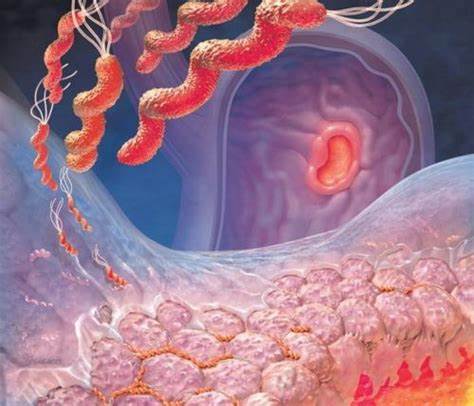 Диета при хеликобактер пилори рецепты