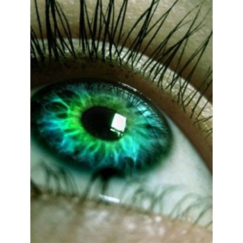 Color Emerald Green Eyes Rare Eye Colors Cool Eyes Rare Eyes