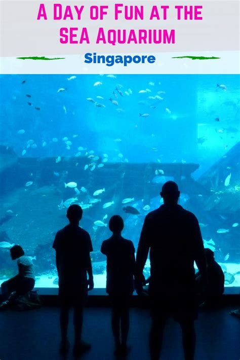 A Day Of Fun At The Sea Aquarium In Singapore The Kids Will Love It
