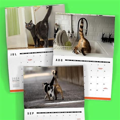 Cat Buttholes Calendar Cat Butthole Calendar For Prank Gift Funny Cat Butthole Calendar