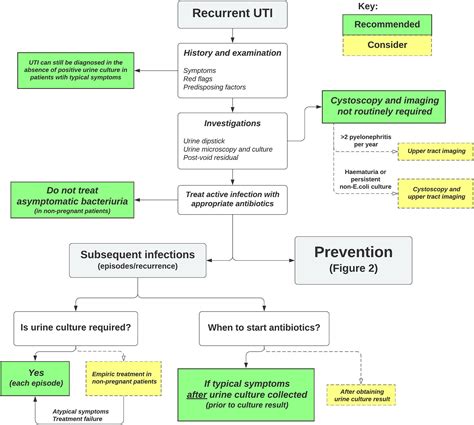 Guideline Of Guidelines Management Of Recurrent Urinary Tract Infections In Women Kwok 2022