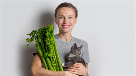 Does that make me a bad cat owner? Can Cats Eat Celery? Is Celery Safe For Cats? • Viva Cat Cat