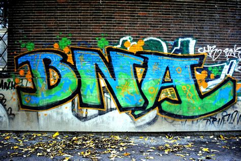 Lifea Learning Experience German Graffiti