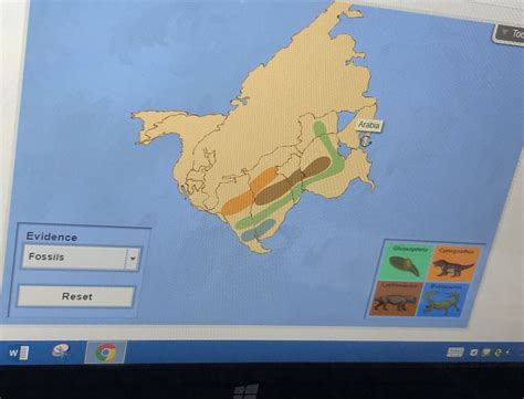 Access free building pangea gizmo answers. Shobica Wadhwa on Twitter: "It was a fun challenge for students to build the super continent ...