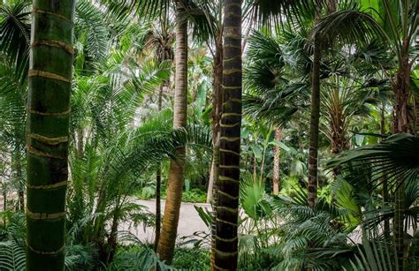 Royal Greenhouses Laeken Belgium Karin Borghouts Artist Photographer