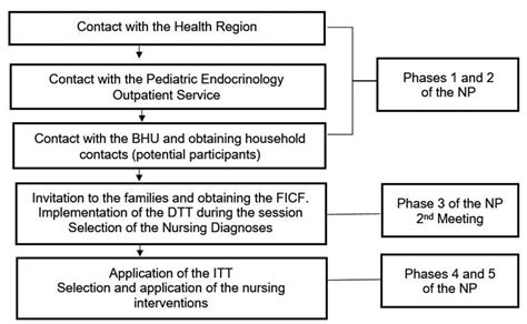 Scielo Brasil Therapeutic Toy In Primary Care Contributions For