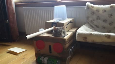 Cute Cats Have Extremely Creative Humans Who Built Cardboard Tanks For Them