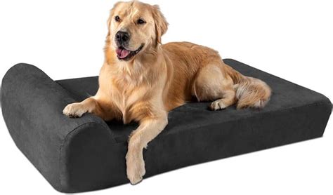 2023s Best Orthopedic Dog Beds A Comfortable Rest For Older Dogs